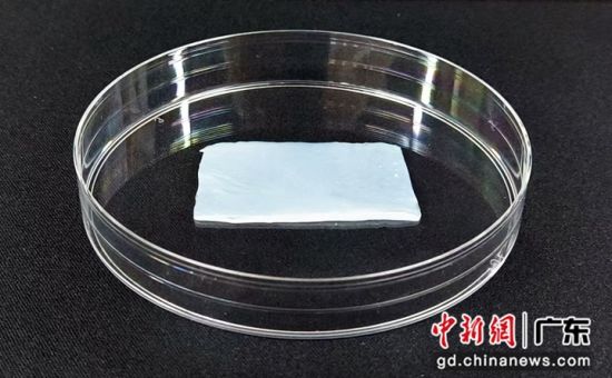 T-BC敷料样品实拍图。研究团队供图 T-BC敷料样品实拍图。研究团队供图