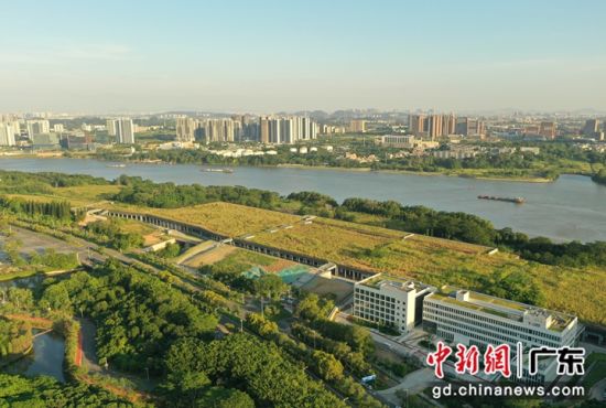 广州地铁十二号线大学城南停车 场。刘敬乐 摄 广州地铁十二号线大学城南停车 场。刘敬乐 摄